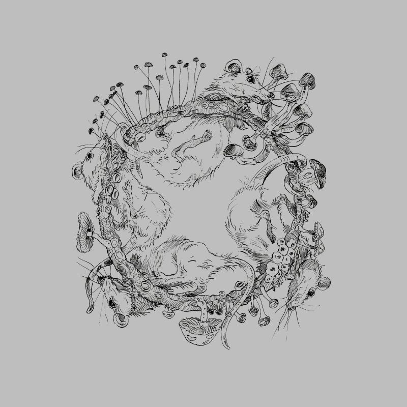 course de rat / course de rat / champignons