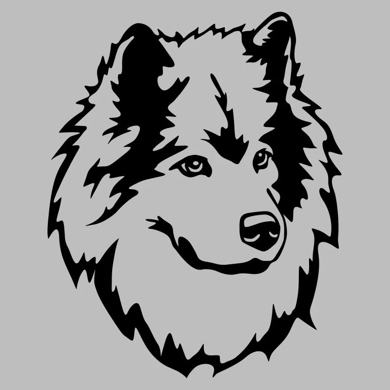 Eurasier Kopf