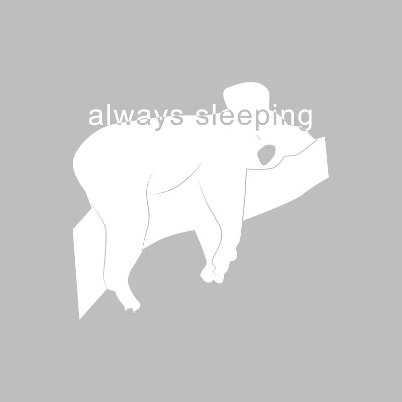 always sleeping gift / sleeping