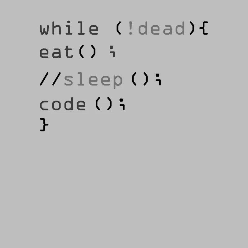 While Not Dead Eat Programmeur de code Sleep Hacker