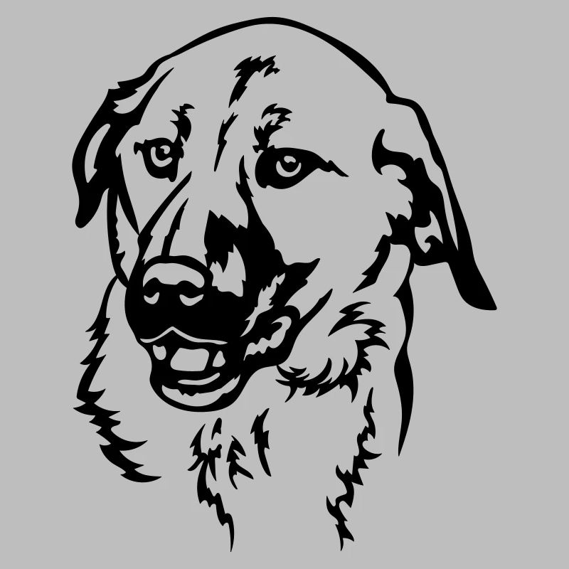 Kangal Head