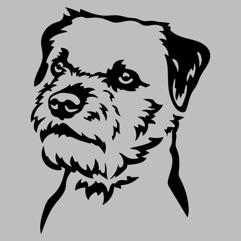 Border Terrier Head