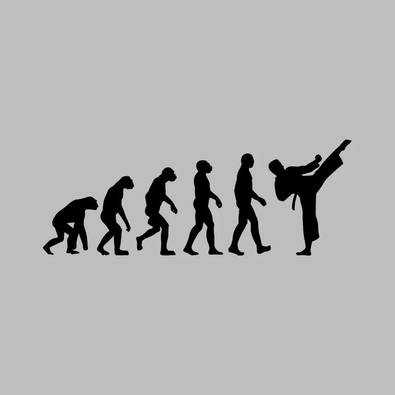 Karate Judo Martial Arts Evolution Taekwondo Kung Fu