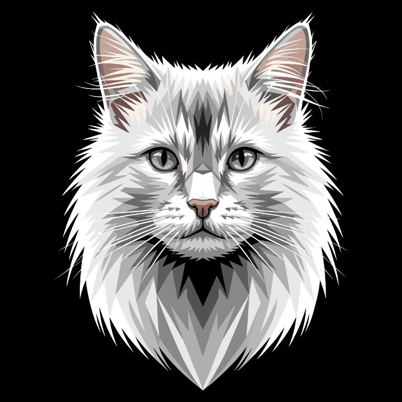 Chat Angora Chat Angora Chat Angora Mignons Chats Angora