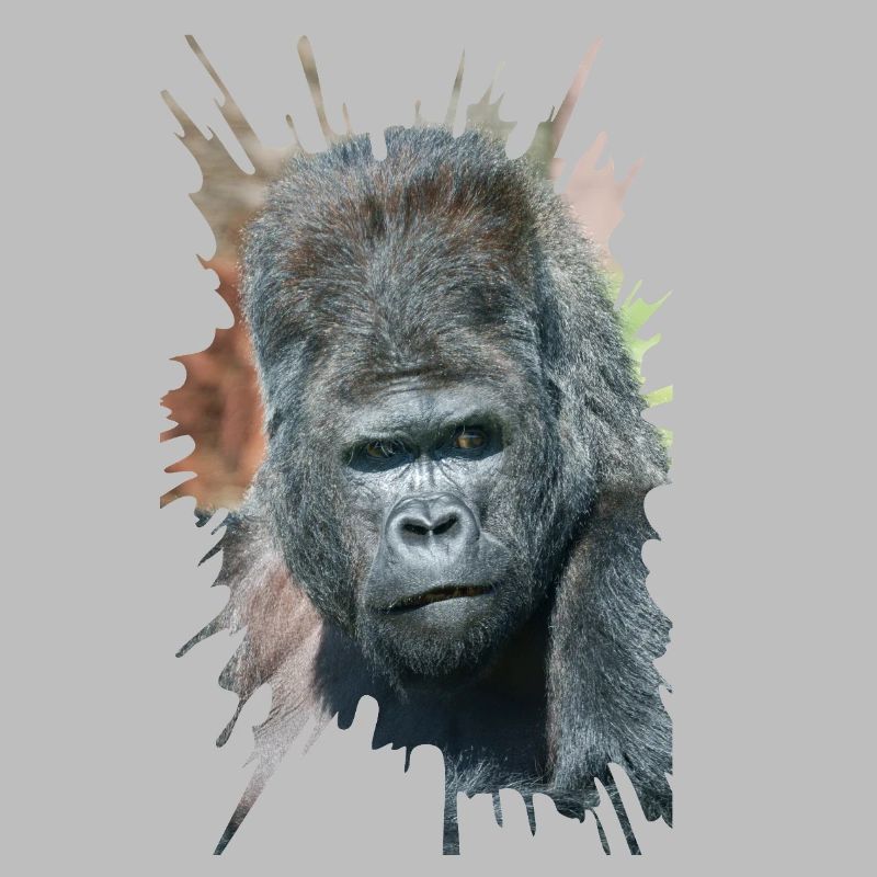 Auffällige Pose von Silverback Gorilla Dishi