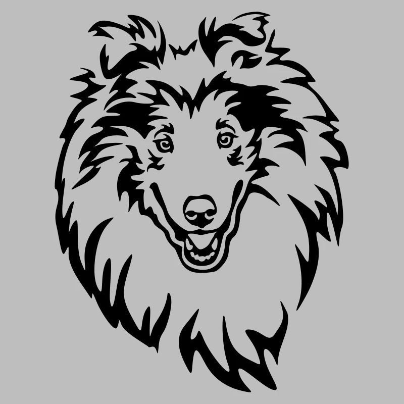 Collie Kopf