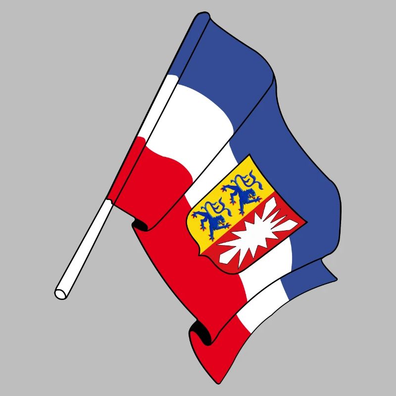 Drapeau du Schleswig Holstein