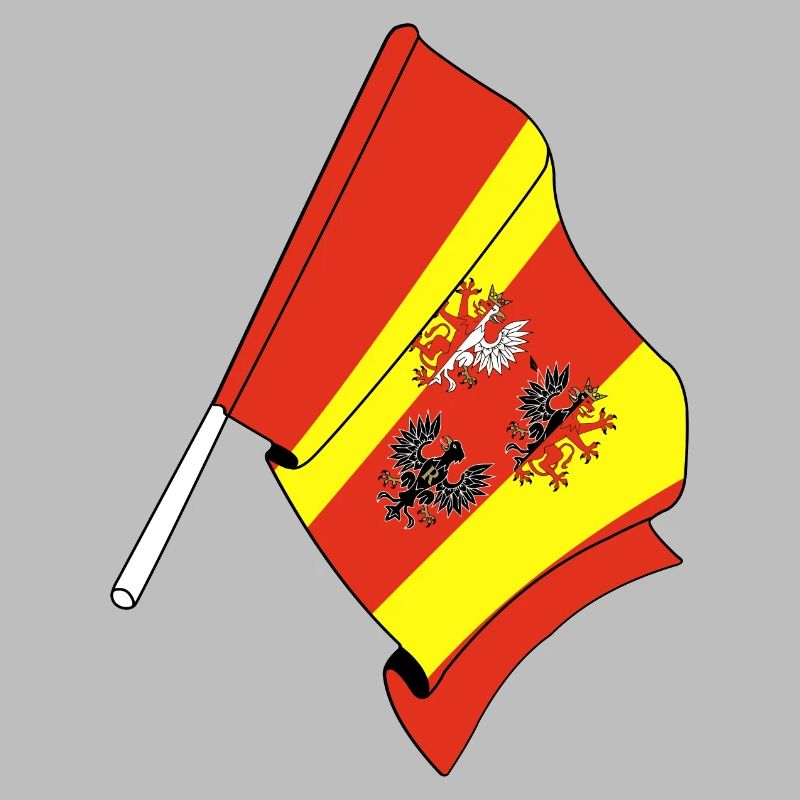 Drapeau : Lodz, Pologne