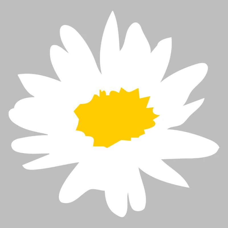 Margerite - Butterblume - Gänseblümchen