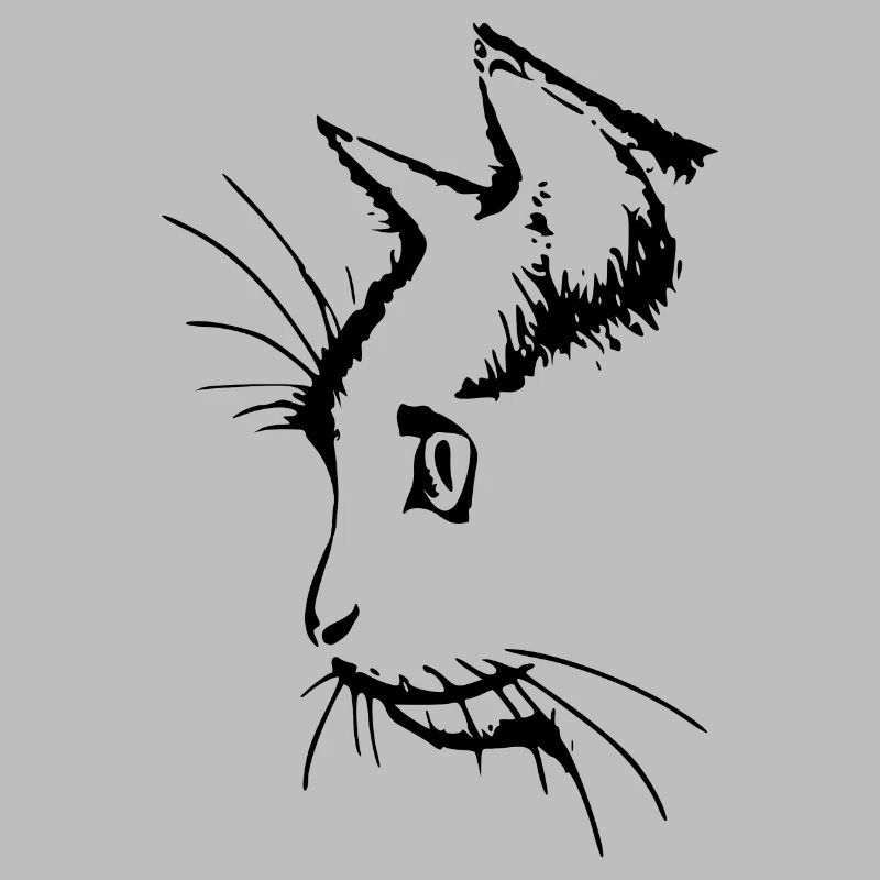 Katzenkopf 3- Katzengesicht