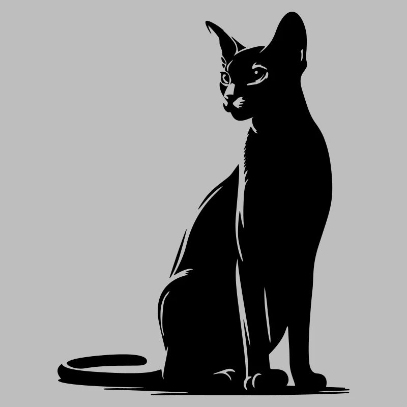 Abessiner Katze