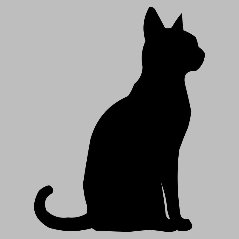 Katze Tier