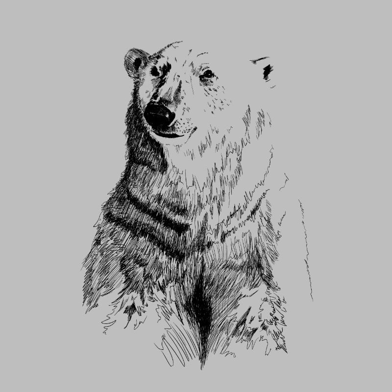 eisbaer