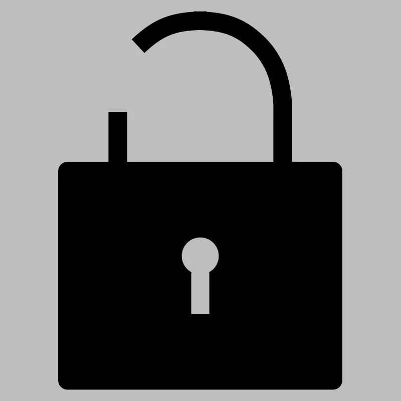 No security no security open lock lock