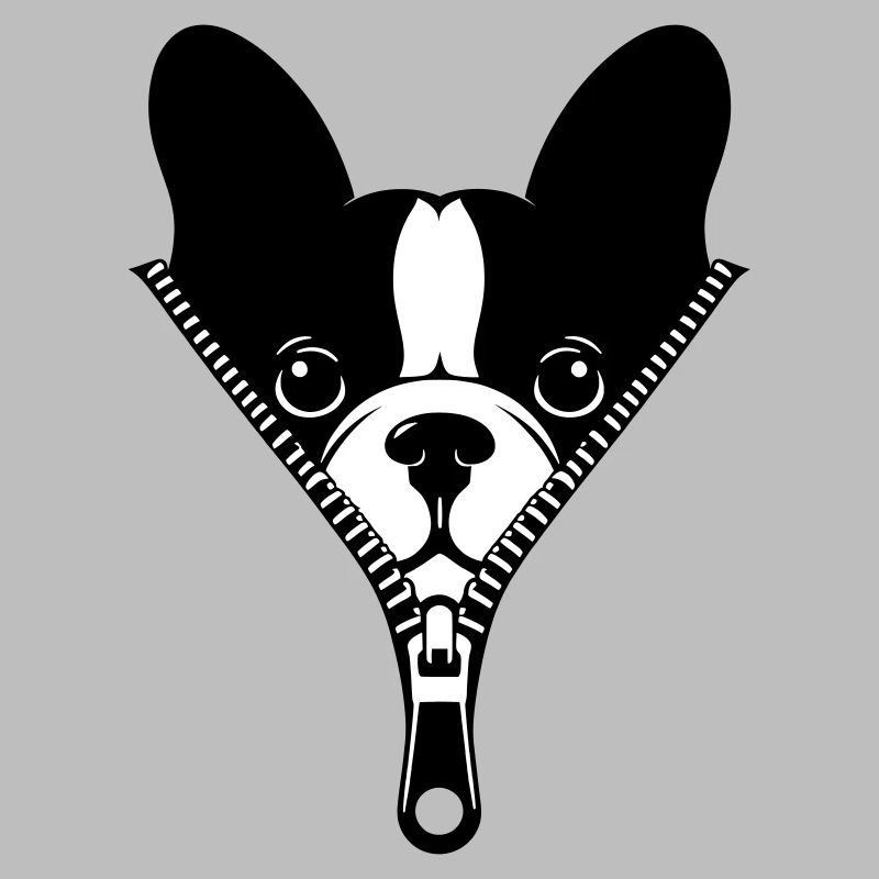 Bouledogue Français dans une fermeture éclair