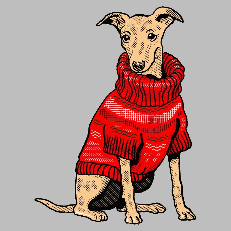 Hund im roten Strickpullover
