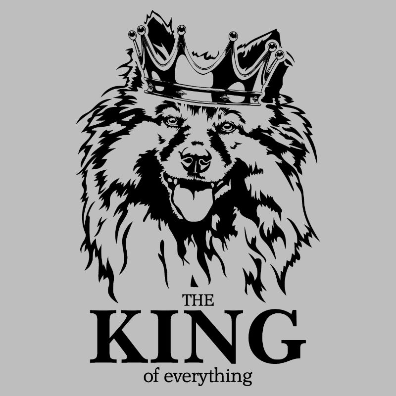 Wolfsspitz Keeshond King of everything Wilsigns
