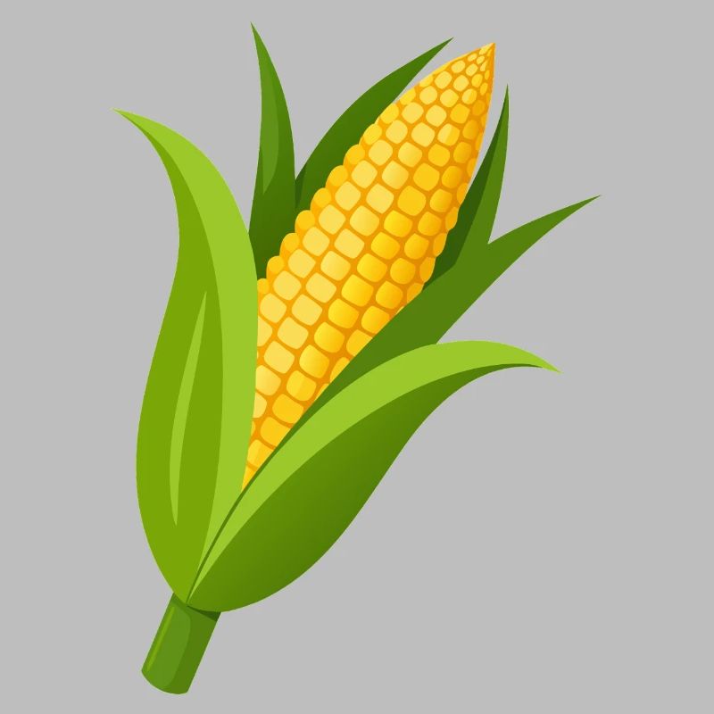 Corn stalk