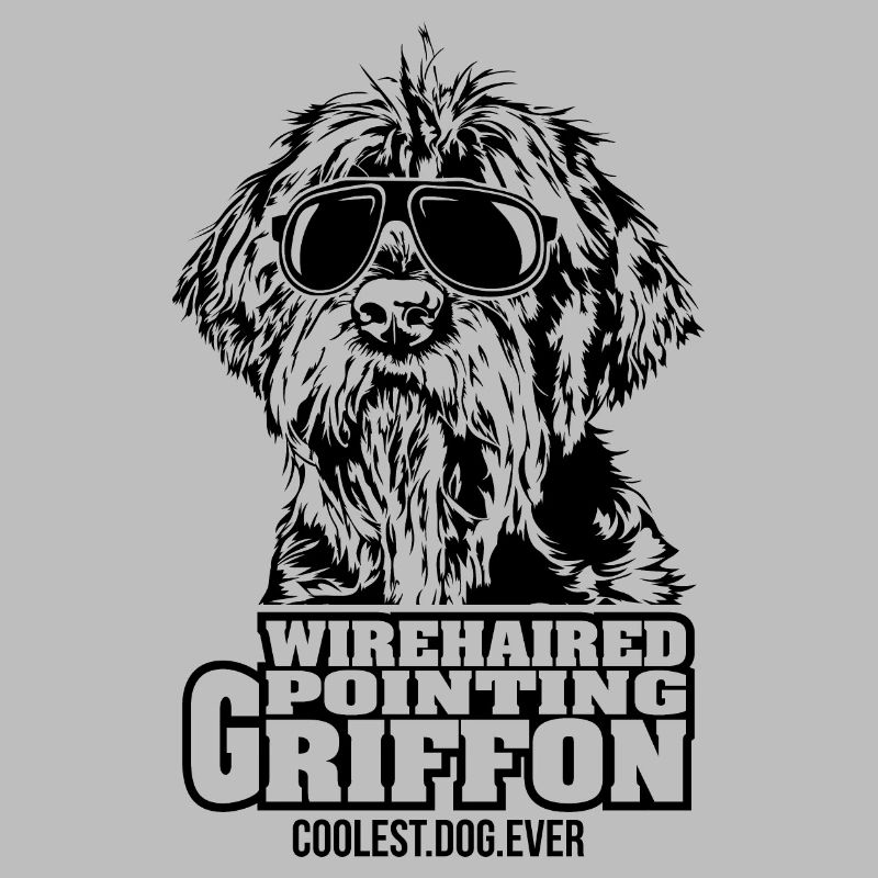 WIREHAIRED POINTING GRIFFON chien le plus cool de tous les temps Chiens