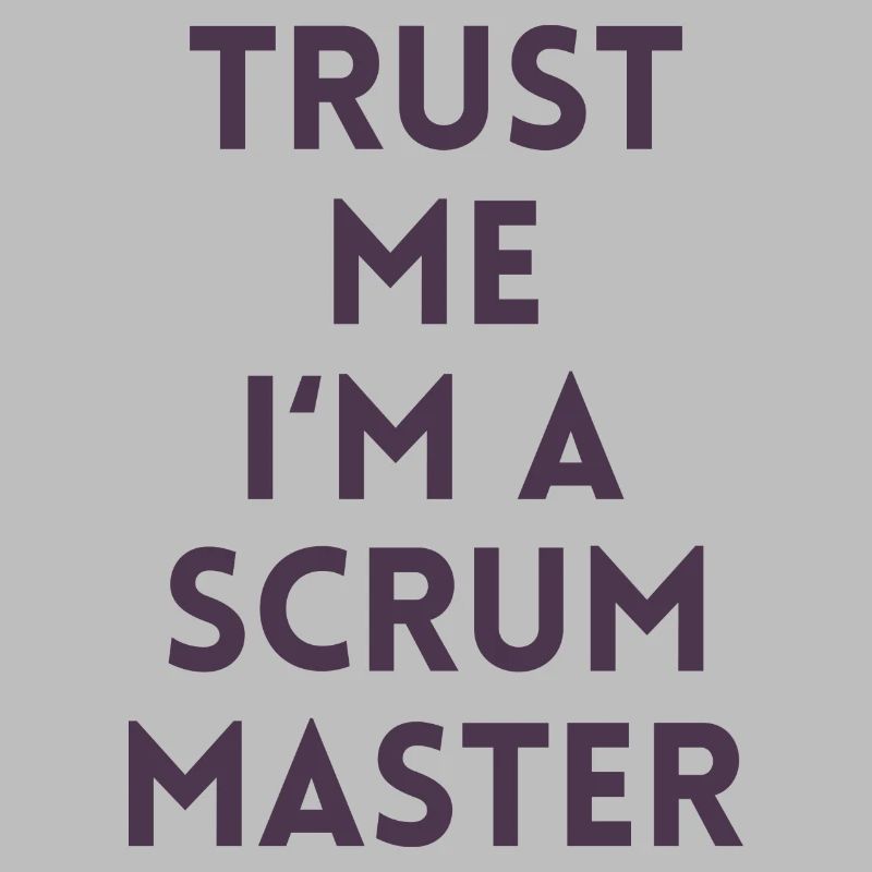 Trust me I’m a scrum master cadeau code ordinateur