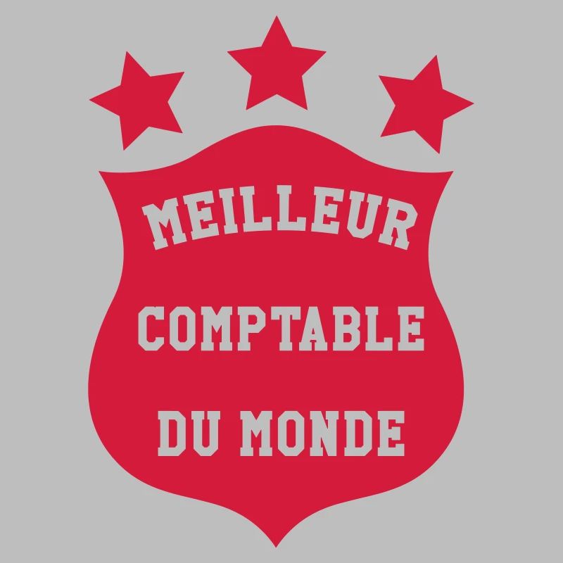 Accountant / Accounting / Comptable / Comptabilité