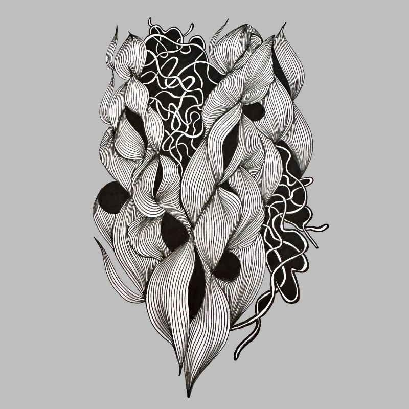 Plexus cardiaque entrelacé