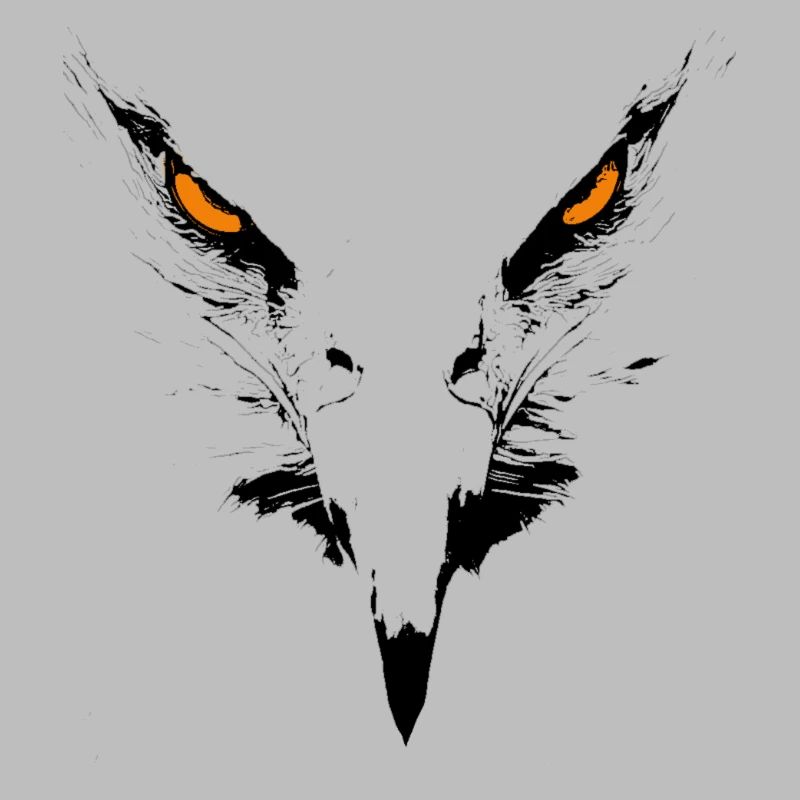 Eagle face. Eagle portrait. eagle head