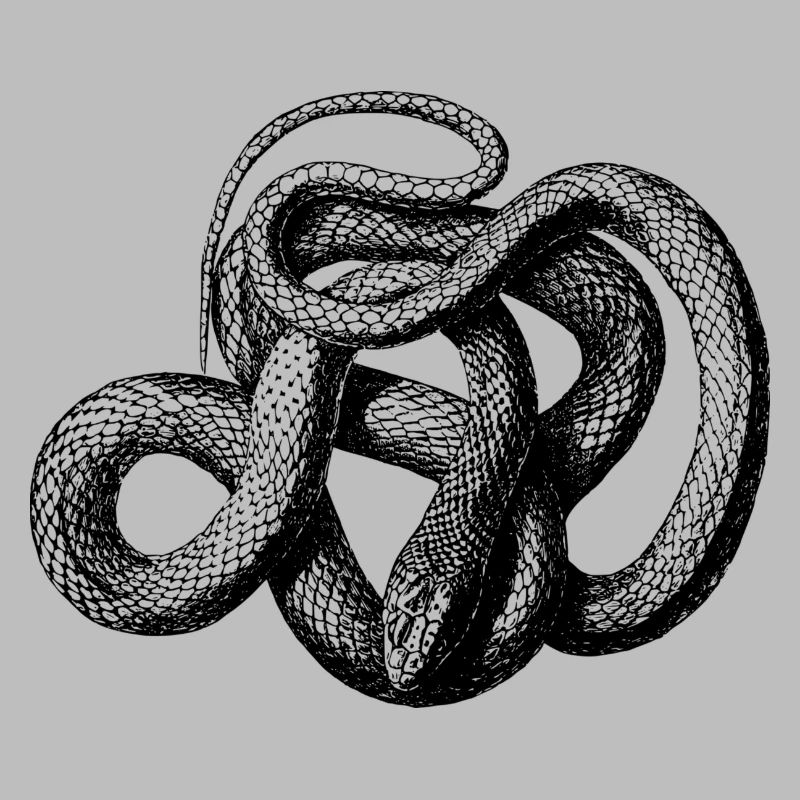 serpent