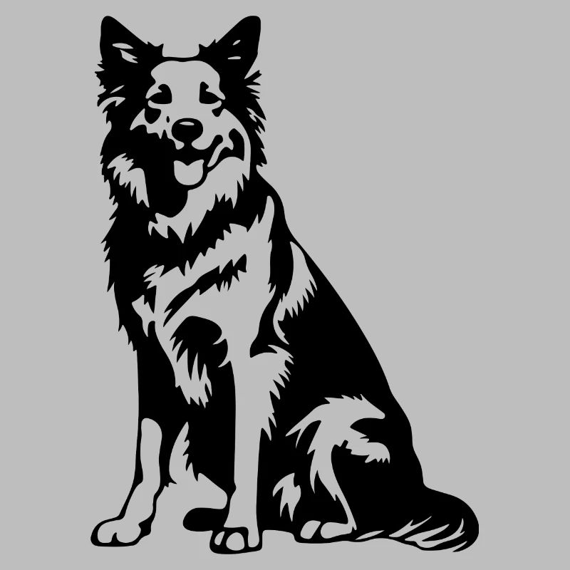 Australian Shepherd Dog
