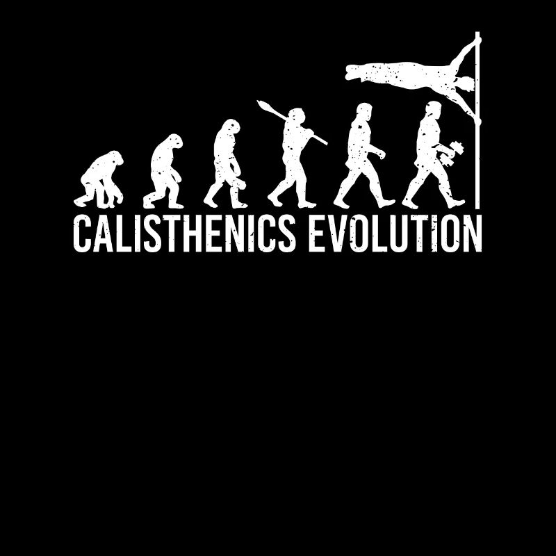 Calisthenics Evolution Human Flag Workout