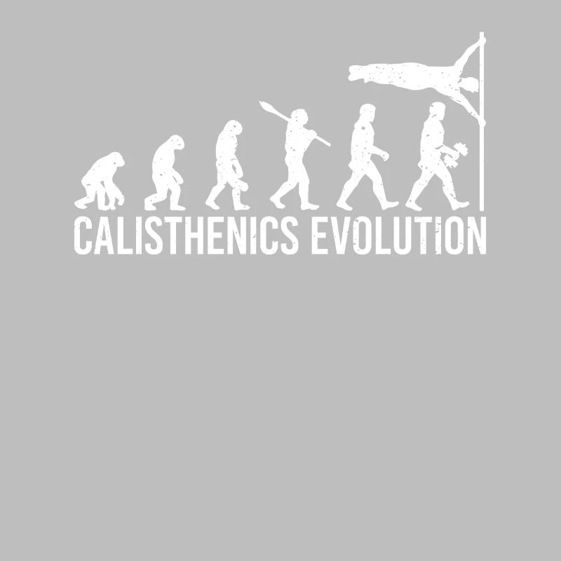Entraînement Calisthenics Evolution Human Flag