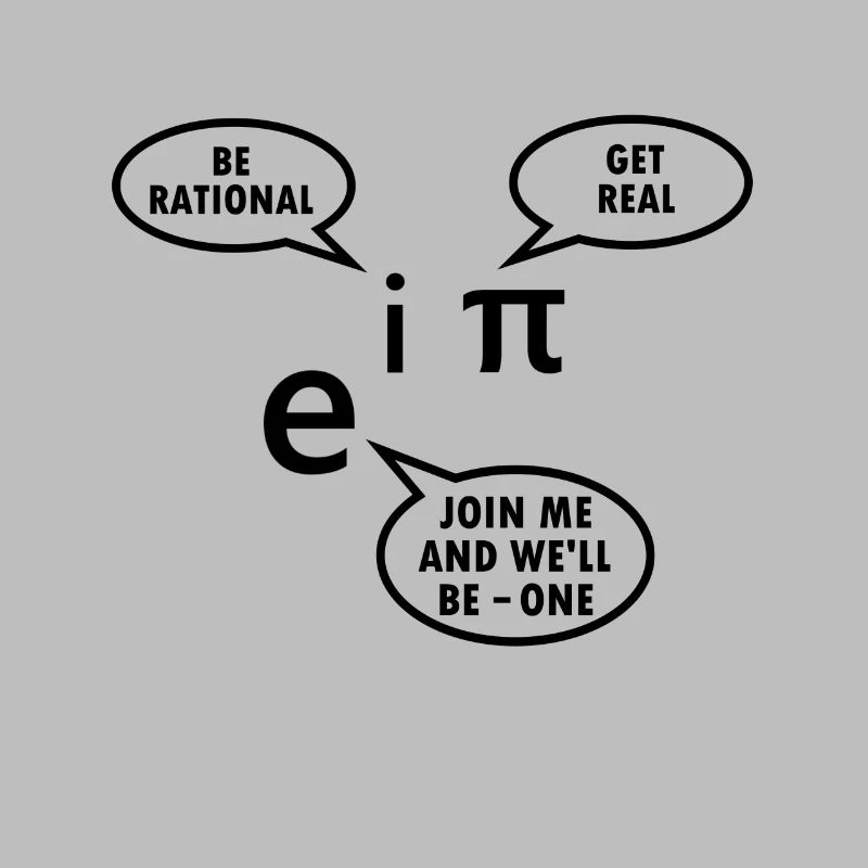 Mathematiker Geschenk Mathe Lehrer Nerd Euler Pi