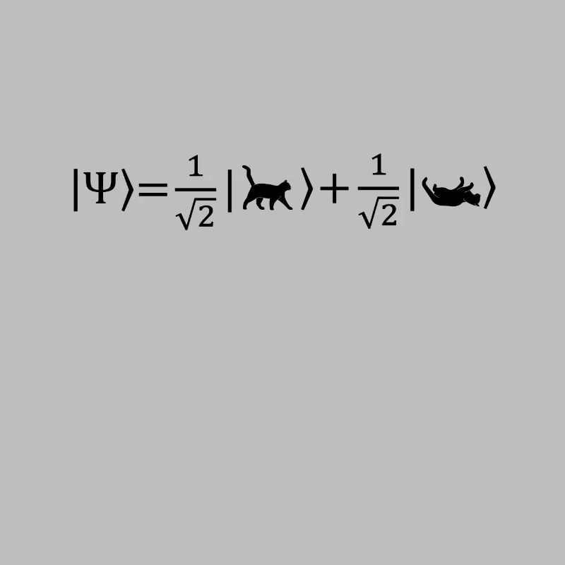 Schrödinger's Cat - Physicist Gift Physics Nerd