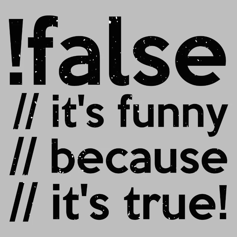 Programmierer false true Informatiker Student Code