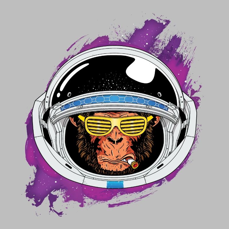 Space monkey