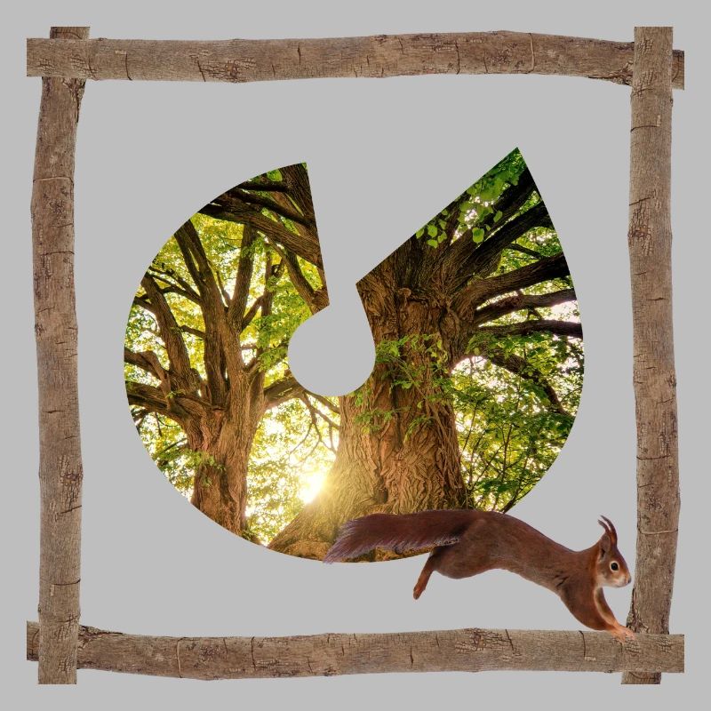 la forêt avec écureuils