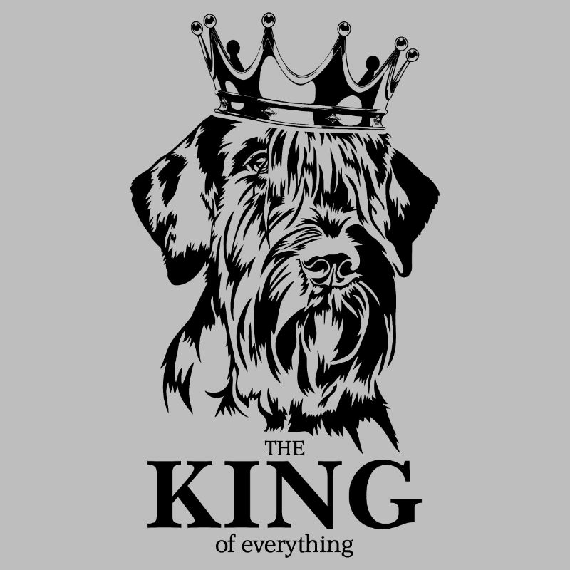 Schnauzer géant roi de tout chiens Wilsigns