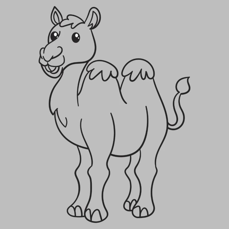 Kamel, Kamele, Geschenk, Geschenkidee