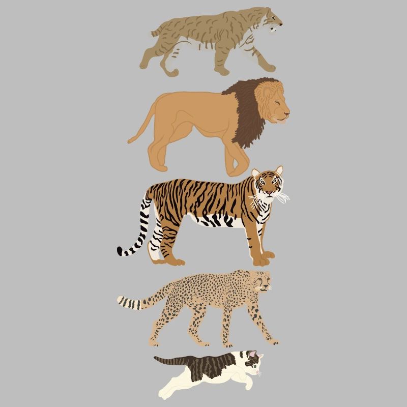 Evolution Cat Lion Cheetah Vertical multicolored