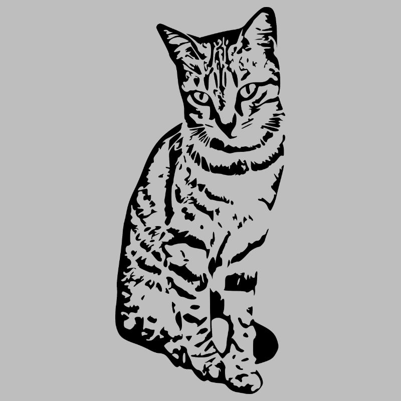 Chat Chaton Tigre Chat Chat Chat Cadeau