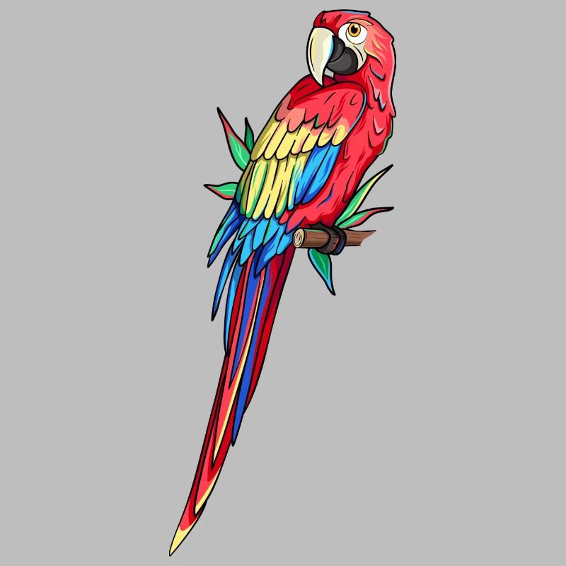 Macaw Parrot Amazon Parrot Feathers