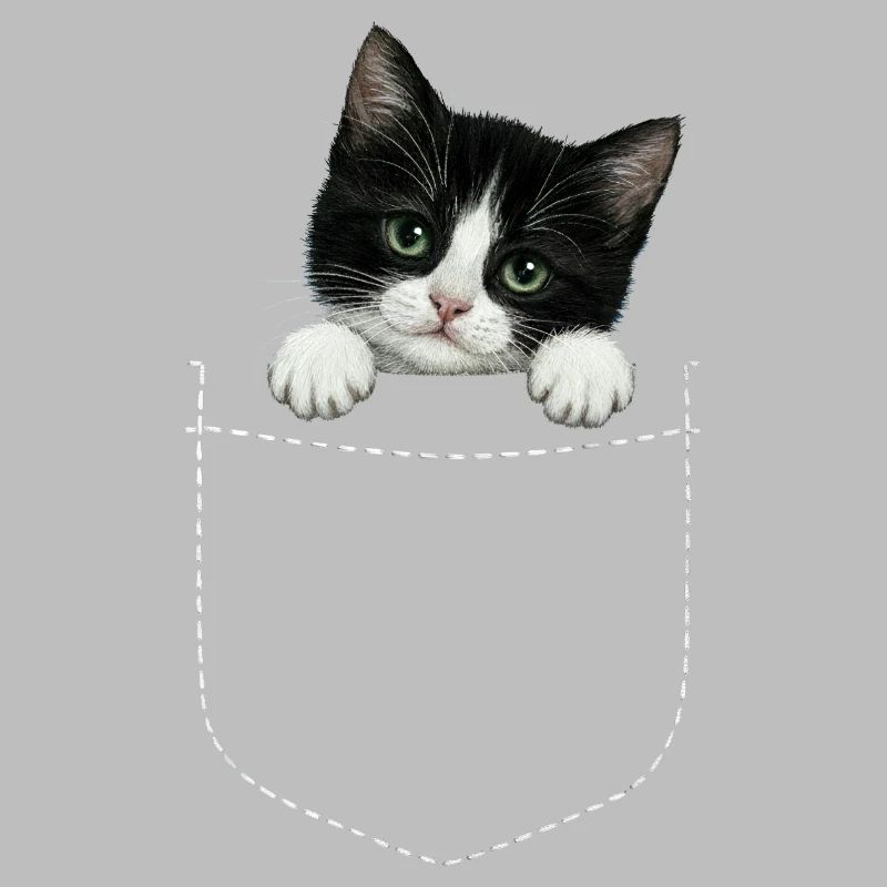 Cat Pocket jette un coup d’œil à un chat mignon dans la poche
