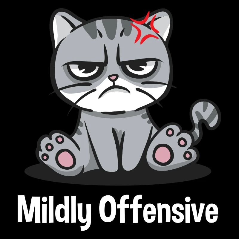 Slightly offensive sarcastic funny sarcasm