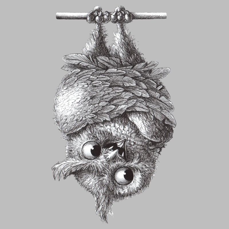 Vampire Owl - Dracula Owl