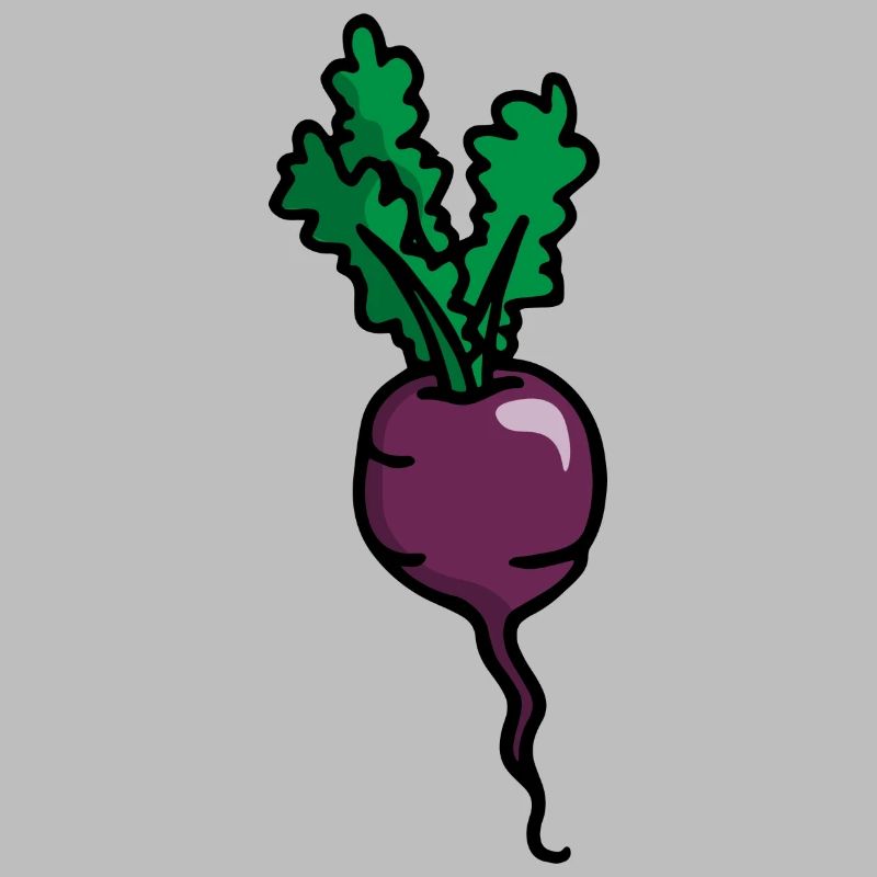 Radieschen Rote Beete Radish beetroot betterave