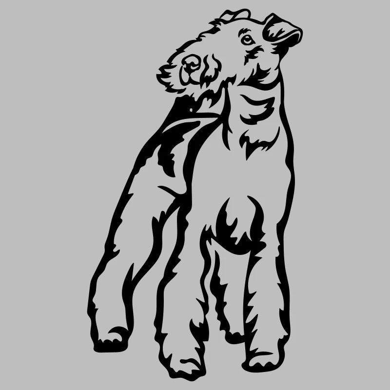 Foxterrier