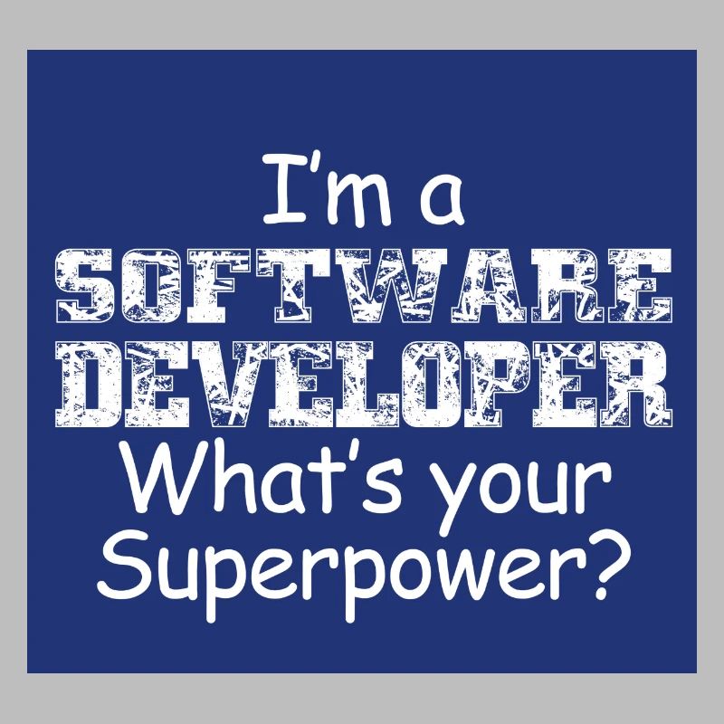 Software Developer