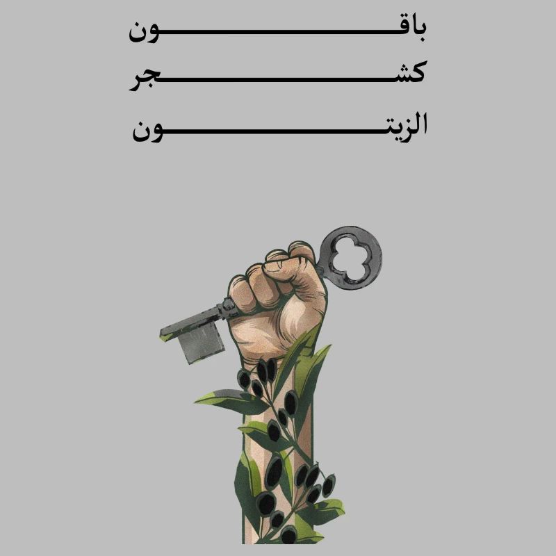 Solid like Oliven trees