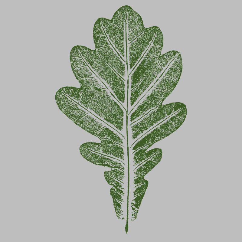 Blatt Eiche - Eichenblatt / Natur & Wald Design