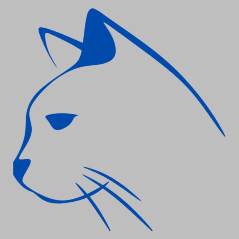 Chat chat chat chat de chat cadeau